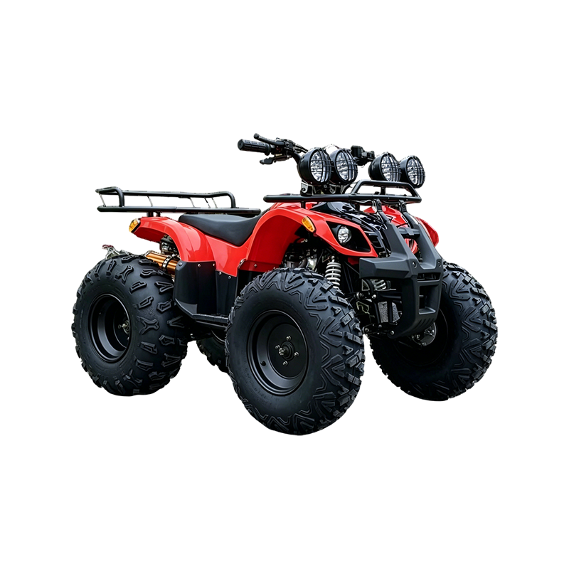 RS-ES17002 Hochleistungs-Offroad-ATV-Quad mit großen All-Terrain-Reifen